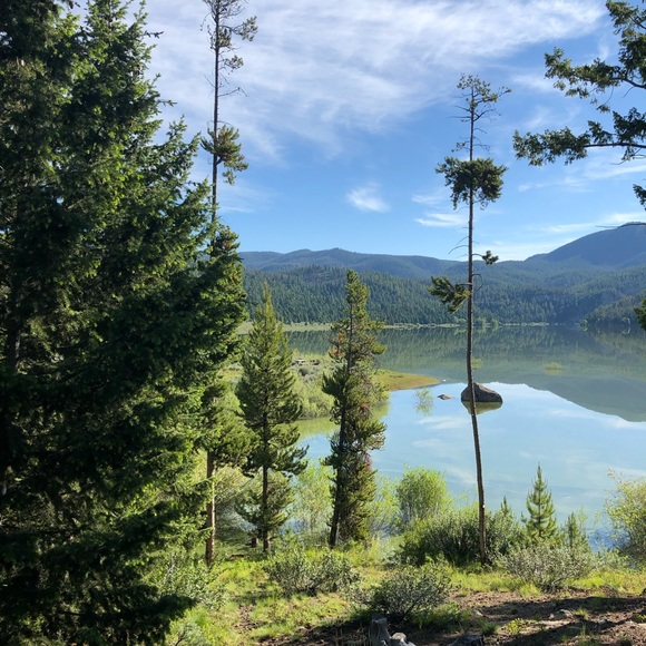 Meet your Posher, Jennifer - Picture 6 of 6